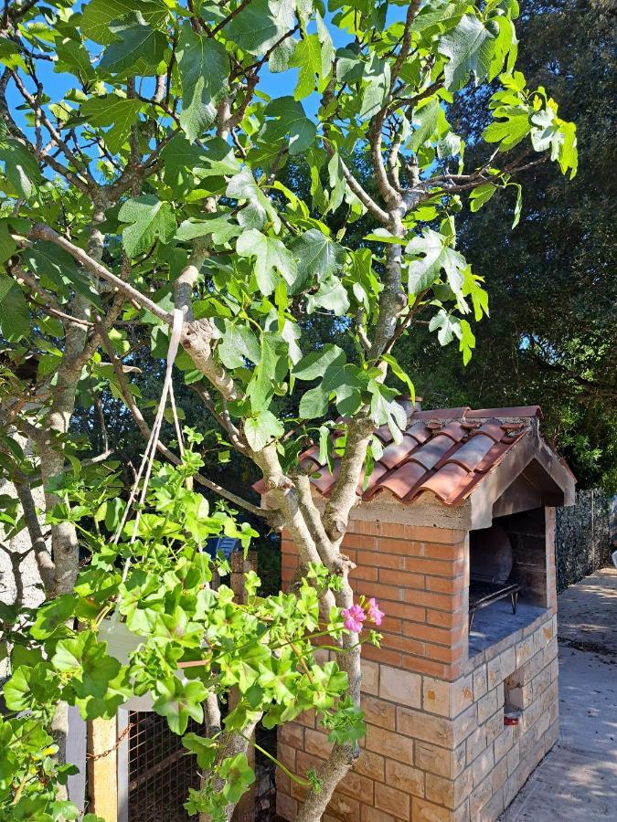 Apartman Melita Galižana Exteriér fotografie