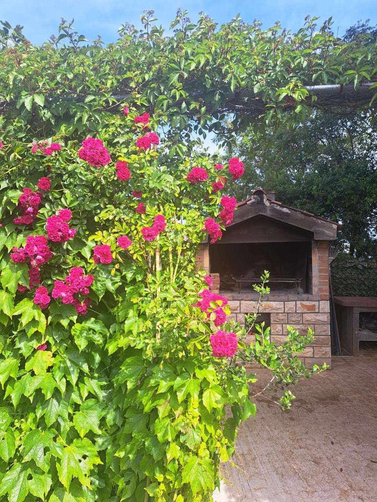 Apartman Melita Galižana Exteriér fotografie